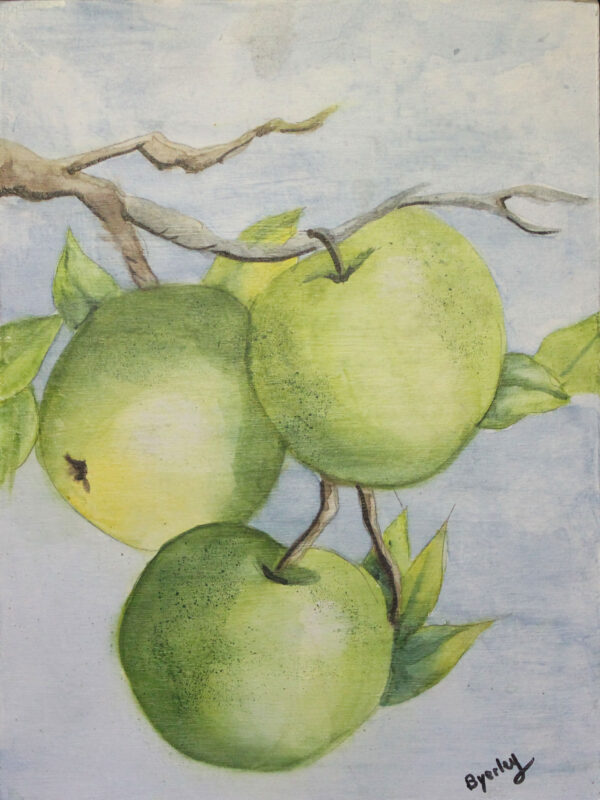 Byerly OFlanagan, Marg, Apples