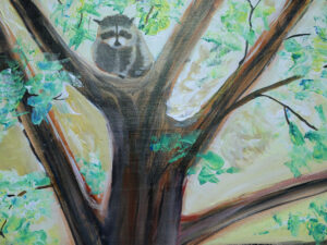 Essex, Carol, My Toronto Too: Baby Racoon