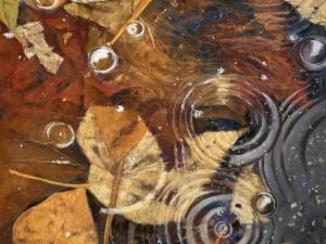 Susan White,
Tiny Universe,
Third Prize